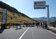 El TC torna a anul·lar la sentència del Superior que donava la raó a Canillo en l'afer del riu de Massat