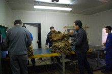Arrenca la classificació de 250 tones de tabac a la Borda Mateu