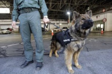 El gos detector de bitllets Arris permet intervenir 12.000 euros