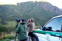 El nombre d'isards a caçar es calcularà en base als cabrits que tingui la cabana