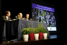 La pedregada malmet el 20% de la collita de plantes aromàtiques