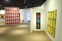 La darrera exposició de Claude Viallat visitarà Andorra el 2013