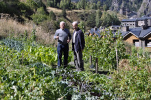  Canillo vol aportar un vessant intergeneracional al projecte dels horts socials