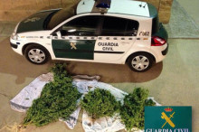 Detenen dos veïns de la Seu amb tres plantes de marihuana