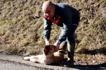 Recollida de signatures per reclamar protecció davant de la fauna salvatge