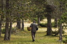 Trobat mort un boletaire perdut divendres a Coll de Nargó