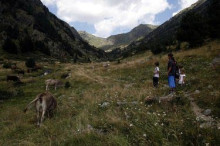 Unes 11.500 persones visiten el Parc Natural de Sorteny a l'estiu