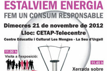 L'Alt Urgell inicia un programa d'estalvi energètic