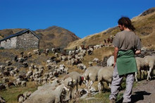 Els ramaders de muntanya, en una greu situació