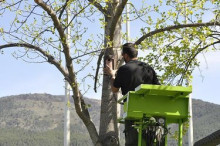 Instal·lades caixes-niu al Parc del Segre urgellenc