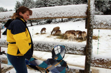 La neu dóna la benvinguda a la nova fauna