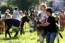 Ball de matí, burros de tarda