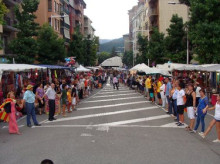 Els urgellencs encoratgen la Via Catalana amb una cadena humana 