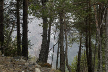 La Seu i Sant Julià organitzen el primer camí de retrobament