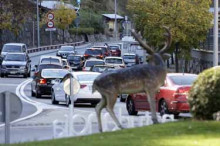 El comerç i l'hoteleria satisfets per l'impuls d'Andorra Turisme