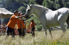 Ordino impulsa una enquesta per millorar els serveis del PIJ