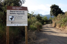 Els caçadors de bolets tindran carnet a bona part del Pirineu