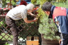 Un eixam d'abelles s'instal·la en ple centre de la capital