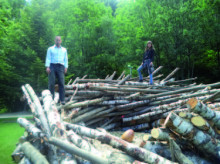 La Massana no repetirà el festival de 'land art'