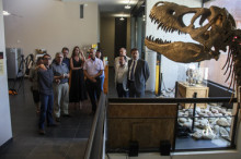 La Dinosfera de Coll de Nargó presenta una mostra itinerant