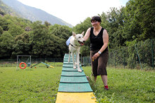 Tallers terapèutics amb gossos per als padrins del centre del Cedre 