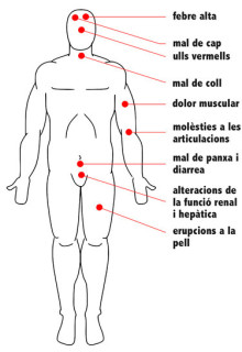 L'Hospital de Meritxell enllesteix un protocol pels casos d'Ebola 