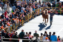 Ramaders d'Andorra SA podria comercialitzar la carn de pollí el 2015