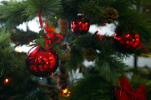 Andorra la Vella inicia divendres la recollida d'arbres de Nadal