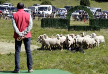 Florenci Serra i la seva gossa Perla guanyen el 23è concurs de gossos d'atura a Canillo