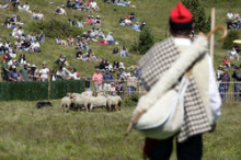 Expectació pels gossos d'atura