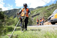 La inversió comunal en gestió forestal cau en picat