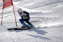 Vidosa, Raméntol i Alayrach acaben quarts en gegants FIS