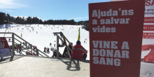 La Creu Roja Andorrana recapta 88 donacions