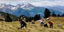 Andorra celebra el dia del Medi Ambient amb expedicions
