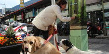 El Comú d’Andorra la Vella, satisfet amb els tòtems per als gossos