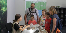 Dinosfera mostra al públic la restauració de peces