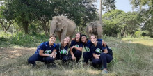 D’Andorra i la Seu fins a un centre d’elefants a Tailàndia 