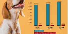 El cens caní s’incrementa un 12% en els últims dos anys