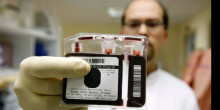 308 embarassades volien donar sang de cordó durant el 2014