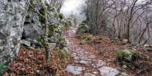 Patrimoni fa un balanç positiu de la Setmana de la pedra seca