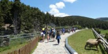 Naturlandia evacua els visitants per la desaparició d’un llop