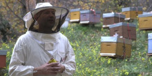 La mel d’Autèntic Abelles i el vi de Casa Auvinyà són premiats