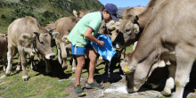 Sortides amb guia a ls saleres de l’Estanyó