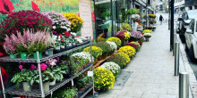 La venda de flors puja més del 5%