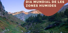 Les molleres acullen el 33% de les espècies vegetals d’Andorra