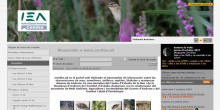 El CENMA obre un web dedicat a l’ornitologia