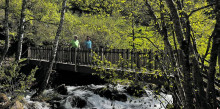 Sortides gratuïtes al Parc Natural del Comapedrosa