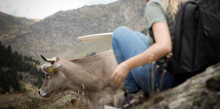 Ordino beneeix el bestiar amb el relleu generacional garantit 