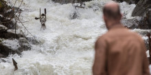 Nou tall d’aigua a Escaldes per la terbolesa i força del riu Madriu