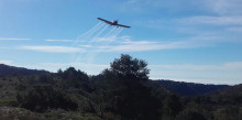 Tractament a l’Alt Urgell de la plaga de la processionària